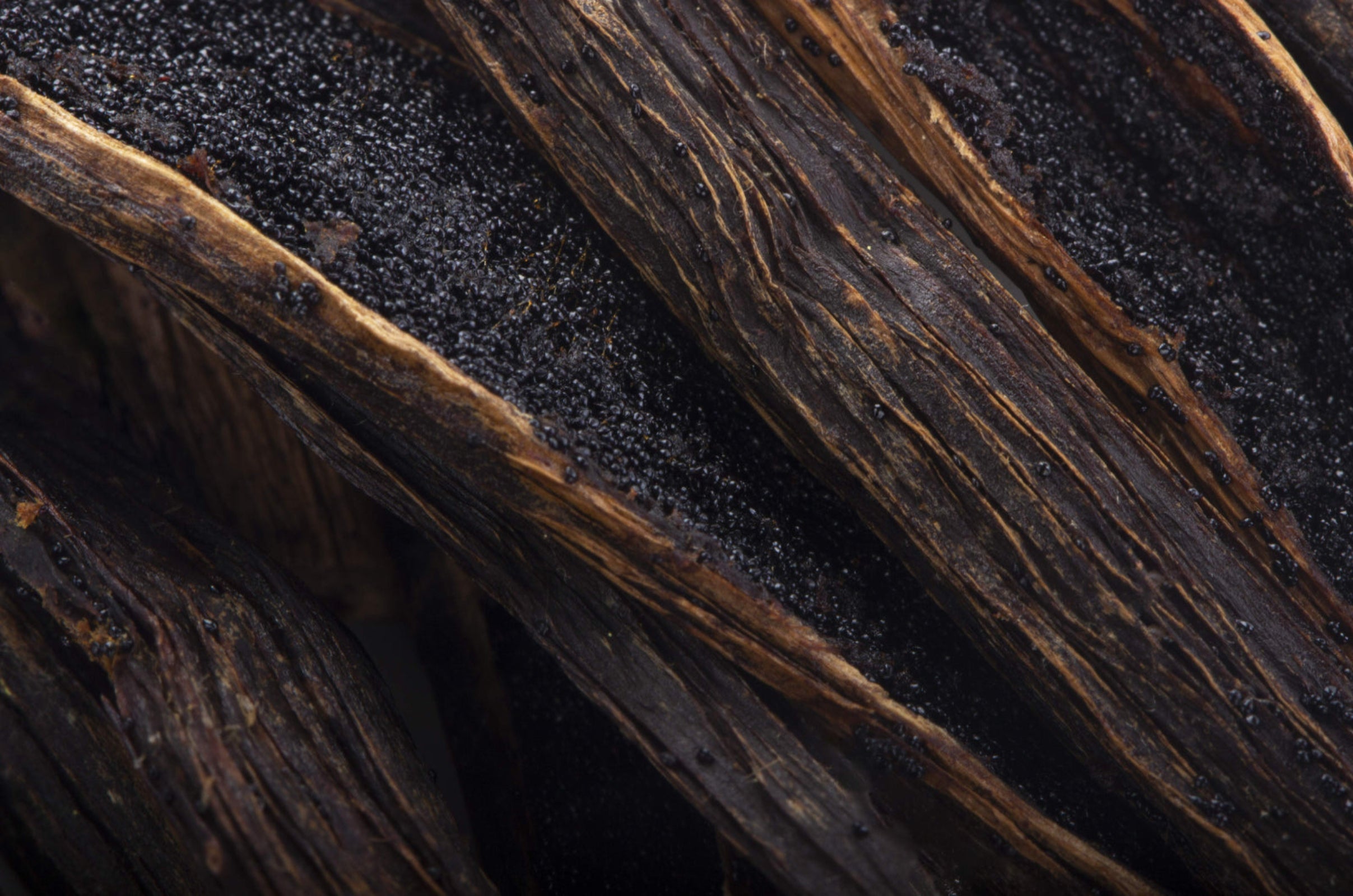 Vanilla Planifolia Fruit Extract: More Than Just a Sweet Scent
